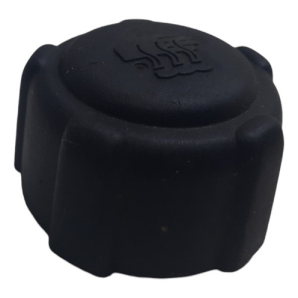 Tampa Reservatorio Expansao Nissan Leaf 2019