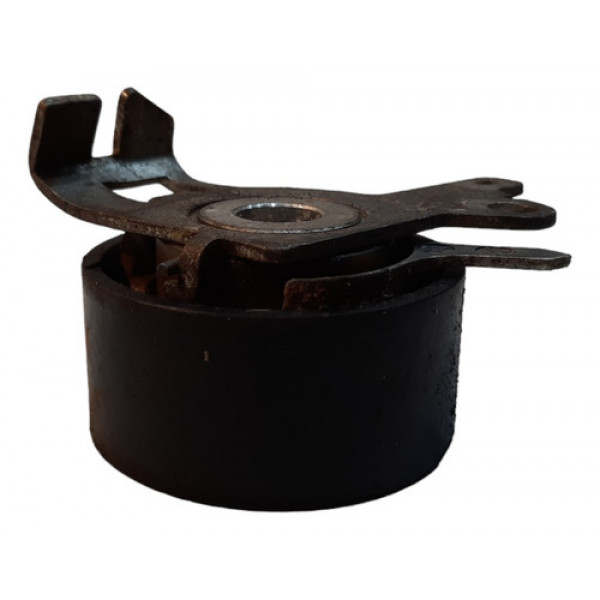 Polia Esticador Correia Peugeot 307