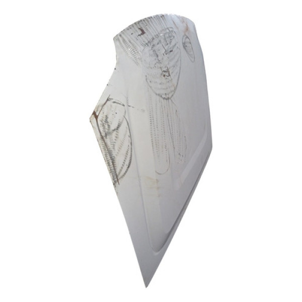 Capo Frontal Recuperado, Ford Ramger 2008