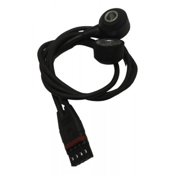Sensor De Detonação Bmw X5 2009 
