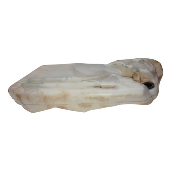 Reservatorio Água Do Parabrisa Peugeot 206 1.4 2004