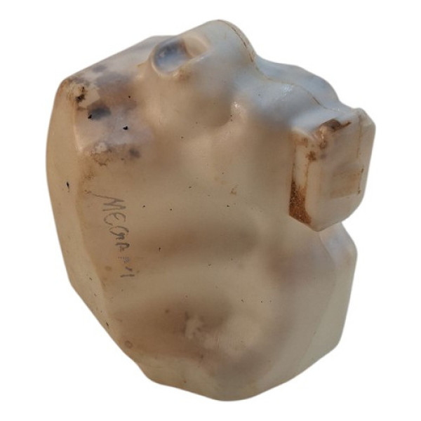 Reservatório De Água Do Parabrisa Megane 2009 Usado Original